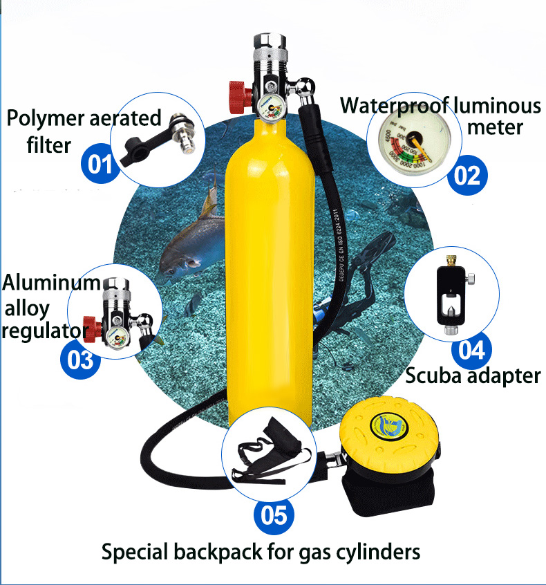 Bouteille d'oxygène portable p - Diving Mask avis et prix